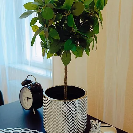 Centrally Located * Riga